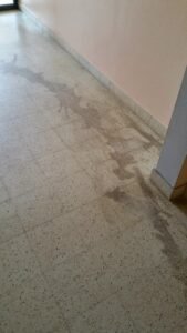 nettoyage hall d'entrée Epinal Vosges