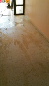 qualipro multi entrepsie de nettoyage Epinal Vosges